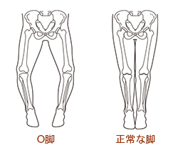 関節のしくみについて先生から問題です