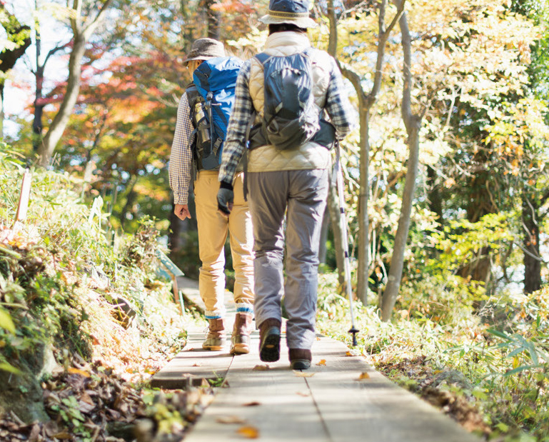 登山の写真