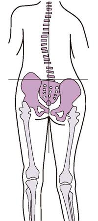 股関節の痛みを我慢していると、他の部分に負担がかかります