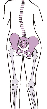 膝が痛くても実は痛みの原因は股関節の場合