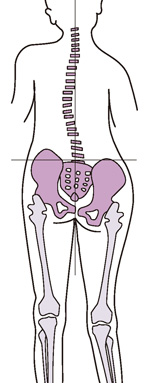 膝や股関節の状態が悪いと、腰にも悪影響が及びます