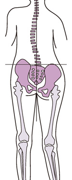 背骨や股関節、膝の状態を考え、使用する人工関節の種類、設置する位置や角度が理想的なのかという計画を手術前にお一人ずつ綿密に立てる