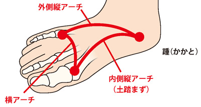 足の3つのアーチ