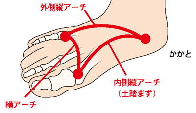 3つのアーチ構造