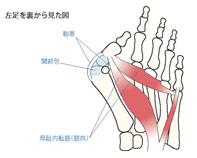 左足を裏から見た図